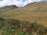 20220905_115818.jpg